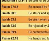 Firm Foundations: Creation to Christ Revised Set (DVD)