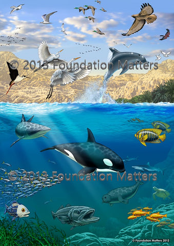 Foundation Matters Pictures (Large Non-Laminated Print Set)