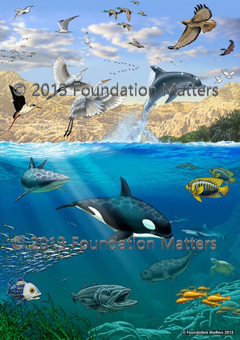 Foundation Matters Pictures (Small Non-Laminated Print Set)