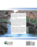 Building on Firm Foundations Volume 4 Teaching New Believers: Acts (Print)