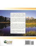 Building on Firm Foundations Volume 5 Teaching New Believers Romans and Ephesians (Print)
