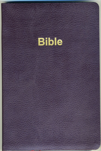 Blank Bible Plus